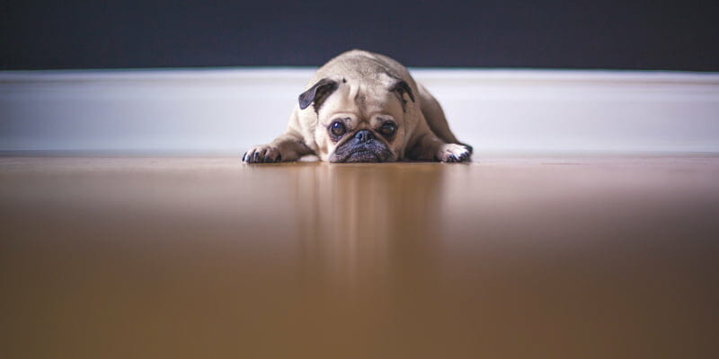underfloor heating benefits P Mac Dublin