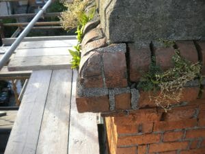 Growth causing damage to chimney