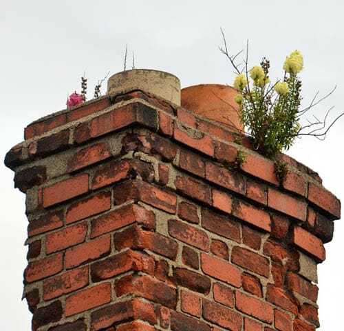 chimney damaged with brick spalling and growth