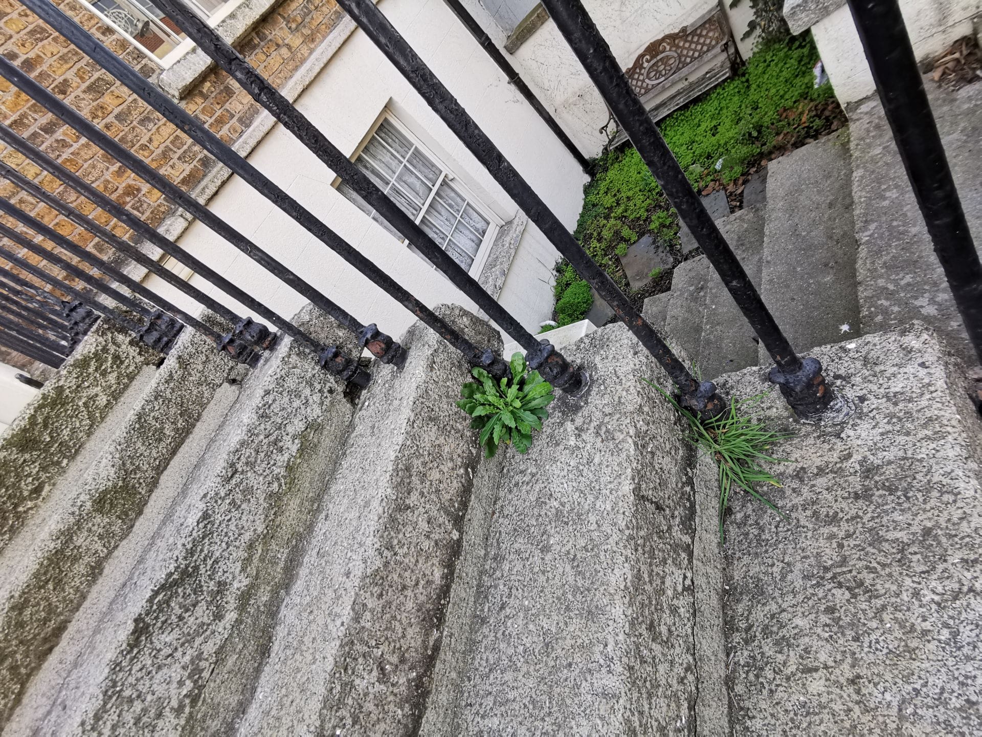 before photo showing plants and cracked pointing
