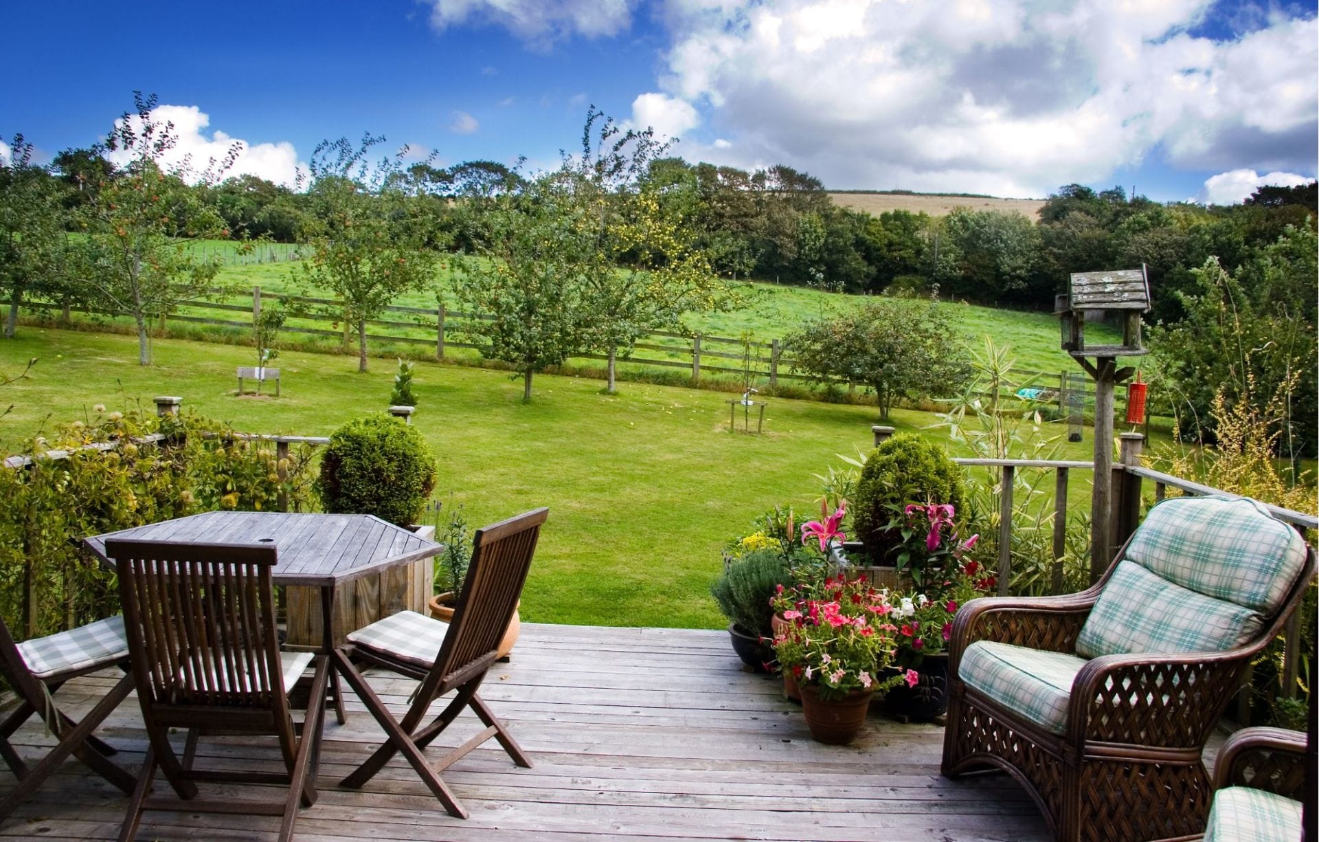 Enhance your patio with greenery