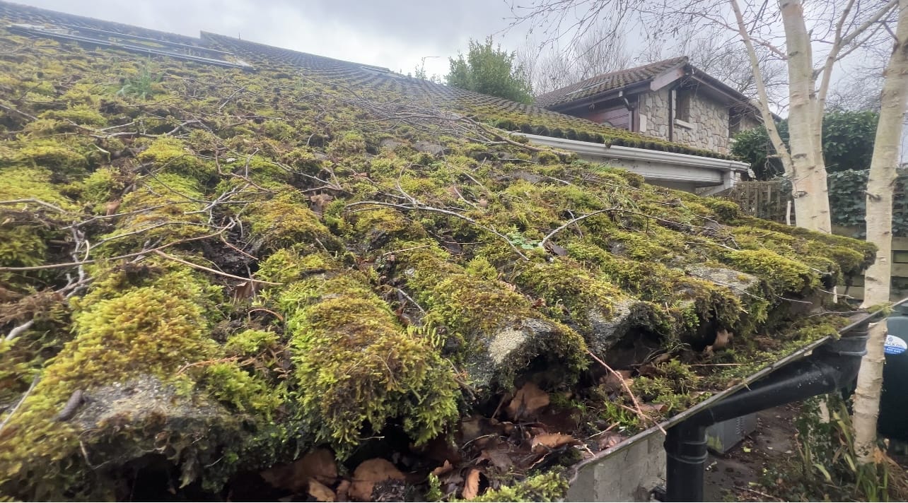 Roof Cleaning by PMAC