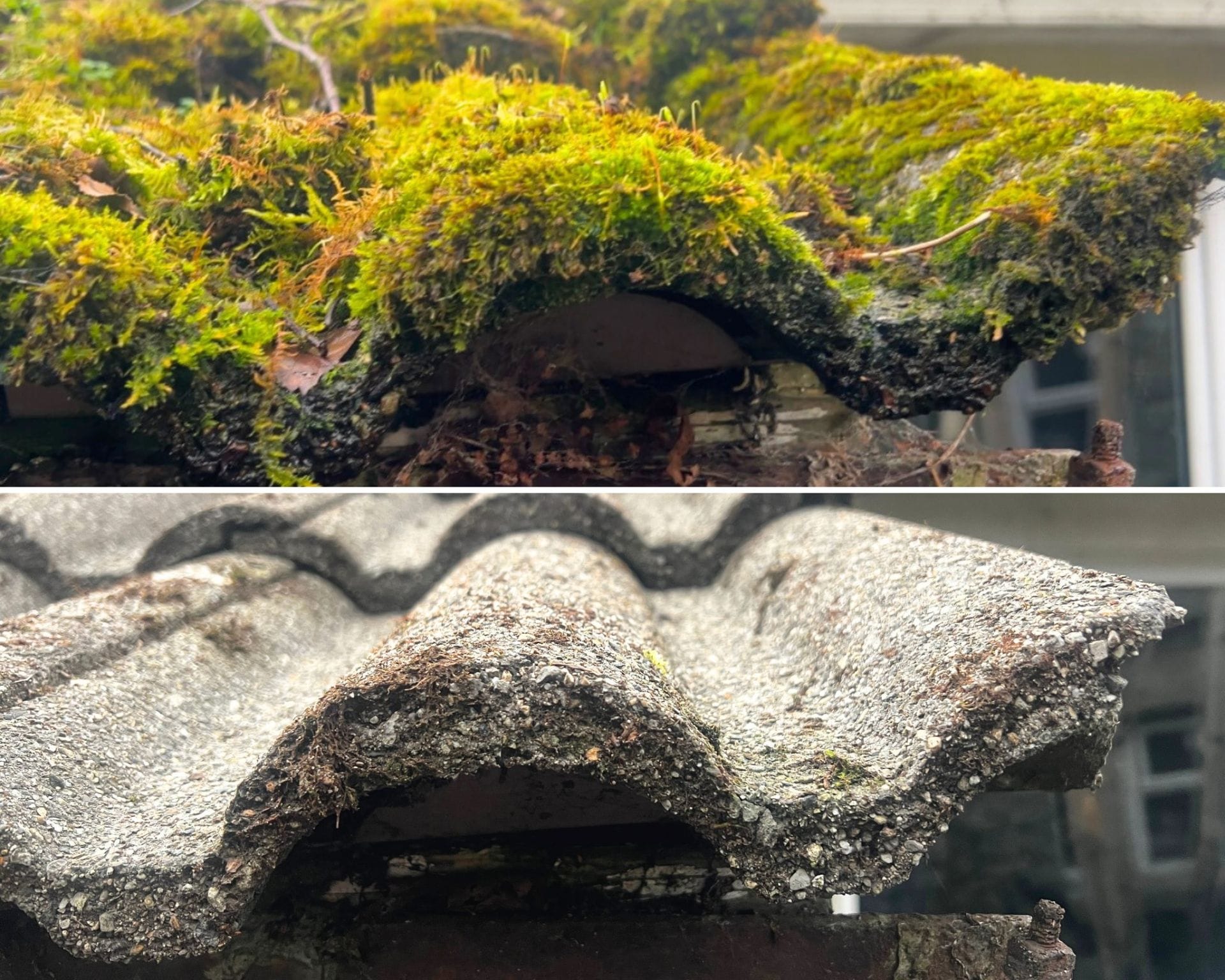 Before & After Roof Cleaning by PMAC
